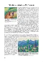 p34BD.webp